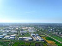 木制箱型梁借用青海西宁跨国货运配达巴西圣保罗