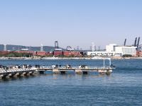 全球散货船自主航行里程碑！ABS“首证”花落中国