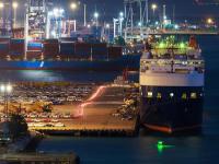 国际物流合规案例分析