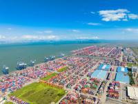 阳明海运全年净利超20亿美元