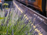 百色市通旭物流有限公司