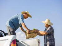 国际危险品运输为什么要选择专业货代