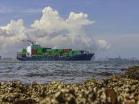 出口欧盟清关新规发布，金属类产品需提供MTC证书