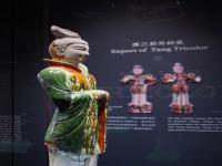 深圳市德邦物流有限公司罗湖区笋岗营业部有关资料