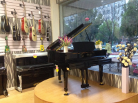 琴之韵琴行钢琴培训中心，让更多的人学会弹钢琴