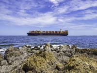 山东—威海到比利时-安特卫普多用途船运输定点直航海运线