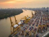 泡桐木选用石家庄跨国货运托运至亚特兰大