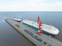 迪拜世博会中国大熊猫保护主题展正在展出