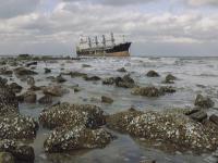 转口贸易需要报关吗？一文了解详细流程