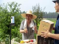 深圳市鼎峰时尚物流有限公司