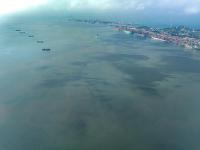 一文详解国际货运中的中转港