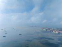 东莞市大唛通物流有限公司