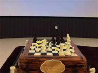 ​上海国际象棋小世界棋艺俱乐部介绍