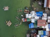 美国FBA卡车入仓延误：预约难背后的物流风波与破局之道