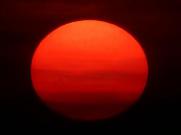 中国广东东莞到费尔维尤自贸区空运联动