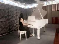 伯乐钢琴艺术中心——对孩子的音乐和艺术素养的培养