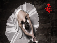 北京五月坊文化艺术有限​舞乐坊——以舞蹈为主，以其他兴趣培养为辅的综合的艺术培训机构