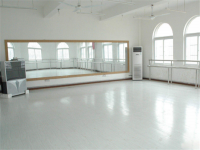 舞之林舞蹈——集少儿舞蹈加盟、艺考舞蹈教育的培训机构