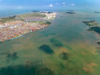 深圳市鸿锦鹏物流有限公司