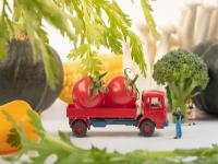 镀铝锌带钢选用广东深圳全球物流送达新加坡