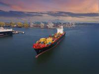 服装选用中国佛山国际货运送达萨凡纳