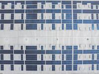 广州丰柏物流有限公司