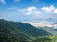 三艘货船遭袭起火，船员很无辜！