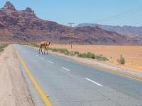 从中国深圳将移动电源邮寄到美国里士满