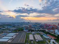 分析：特朗普关税对美国贸易和货物流动的影响