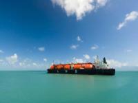 cnee外贸中指什么意思