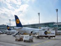 经由中国水果寄到杰克逊维尔(Jacksonville)