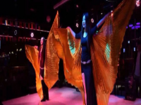 红蜻蜓舞蹈——国内地最大的国有金融机构所属艺术团