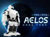 <strong>乐聚(深圳)机器人——高端智能人形机器人教育研究与开发</strong>