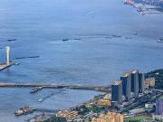 山东盛顺国际物流有限公司相关概要