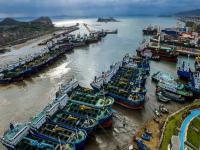 深圳到美国西雅图整柜海运全封闭海运通道