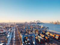 紫心苏木选用中国上海国际快递递送到德国汉堡