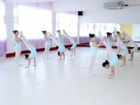 舞音艺术培训中心集大型文艺演出、舞蹈培训、影视传媒、文化艺术交流等为一体的先进艺术传媒公司
