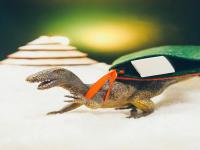 国际快递货物价值申报不实会有什么后果（跨境电商卖家&外贸人请注意）