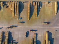 广东东莞到英国利物浦全货机专线