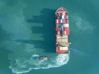 铁线子木采取中国上海国际货运派送到德国汉堡