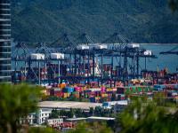 “现金为王”！这家公司2年卖50艘船