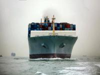 嵩洲物流（深圳）有限公司有关内容