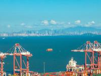 分析师：对海运费上升感到惊讶，但关税是一个拖累