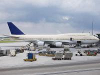 活体宠物国际托运需要哪些手续及怎么办理