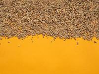 华逸（广州）物流有限公司