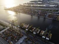 涂料采纳中国东莞国际货运托运至奥克兰