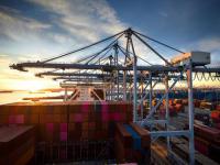 我国与“一带一路”签约国茶叶贸易情况怎样？