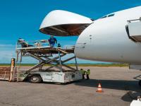 中国重庆到美国莫比尔绿色航空货运