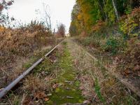 广西智悦国际物流有限公司