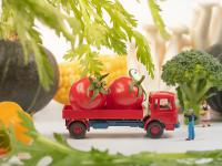 货物要出口运输方式该怎么选